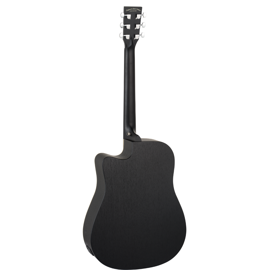 TB5CE Blackbird - Imagen 2