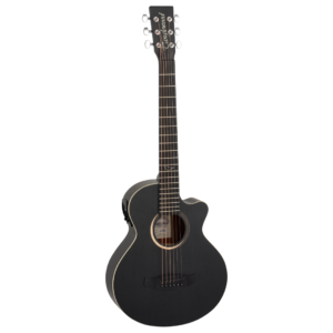 TB2CE Blackbird