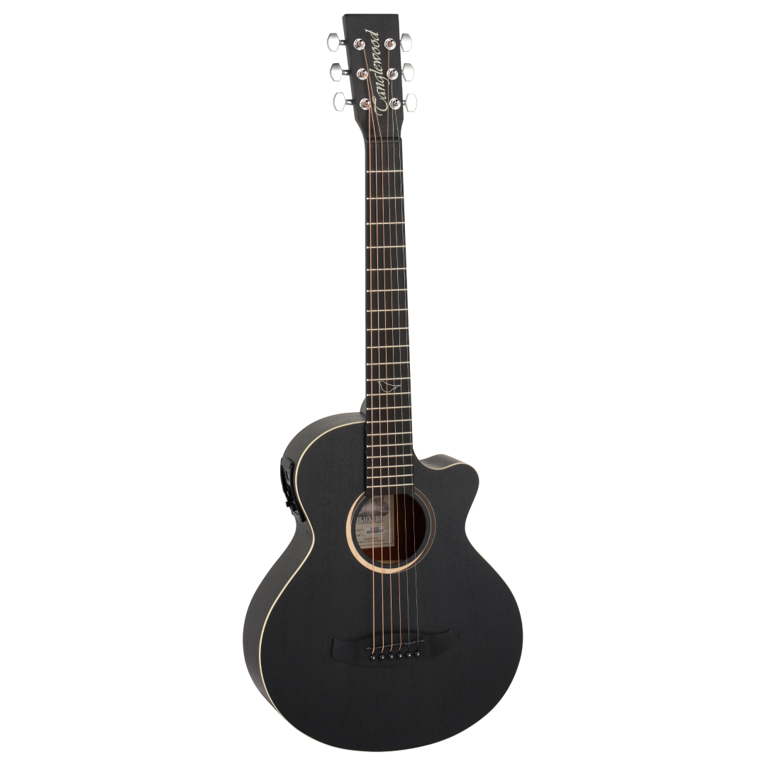 TB2CE Blackbird