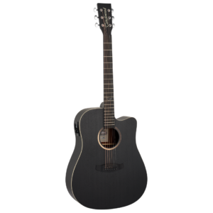 TB5CE Blackbird