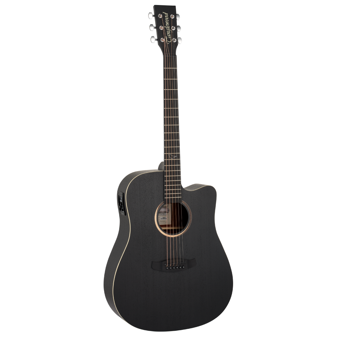 TB5CE Blackbird