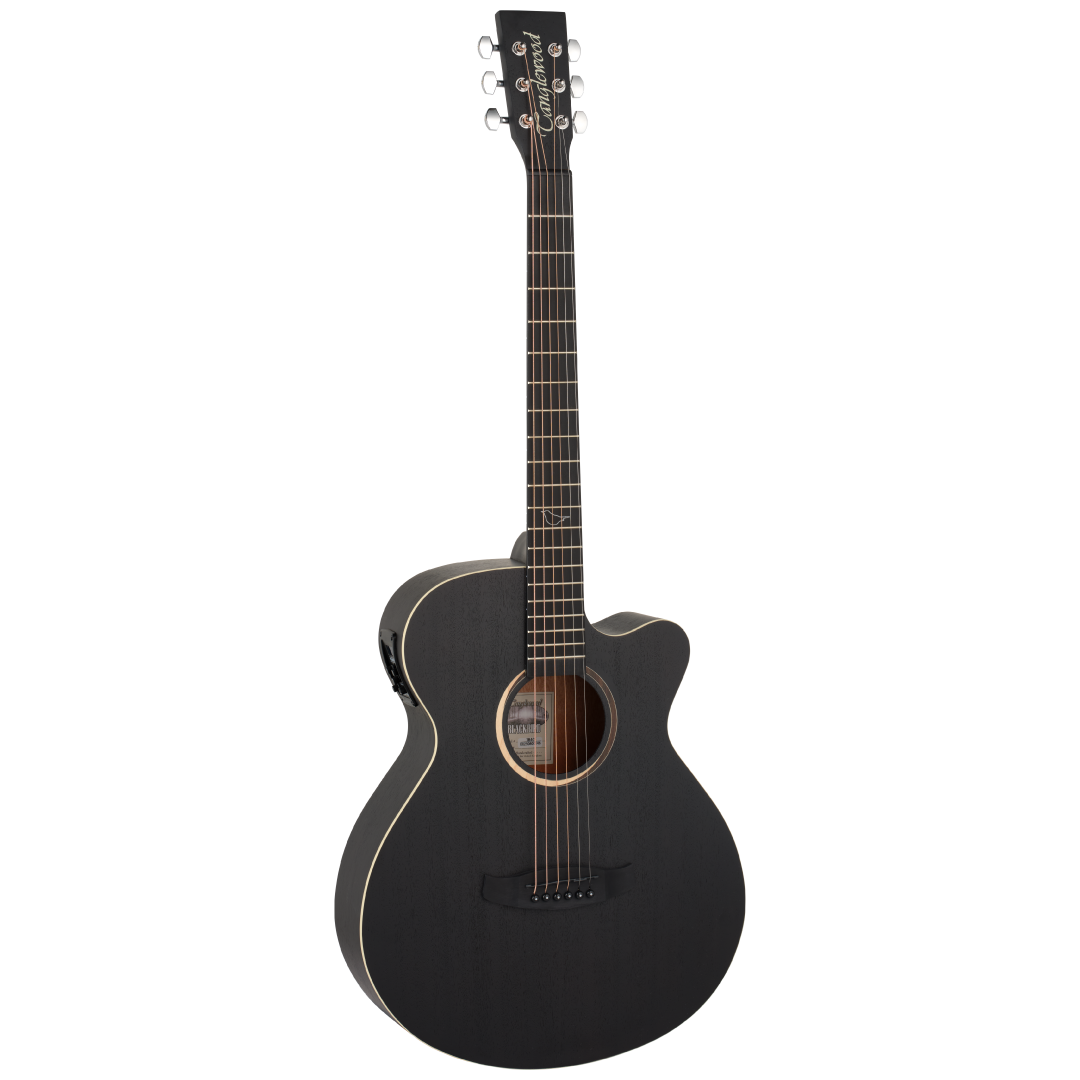 TB4CE Blackbird